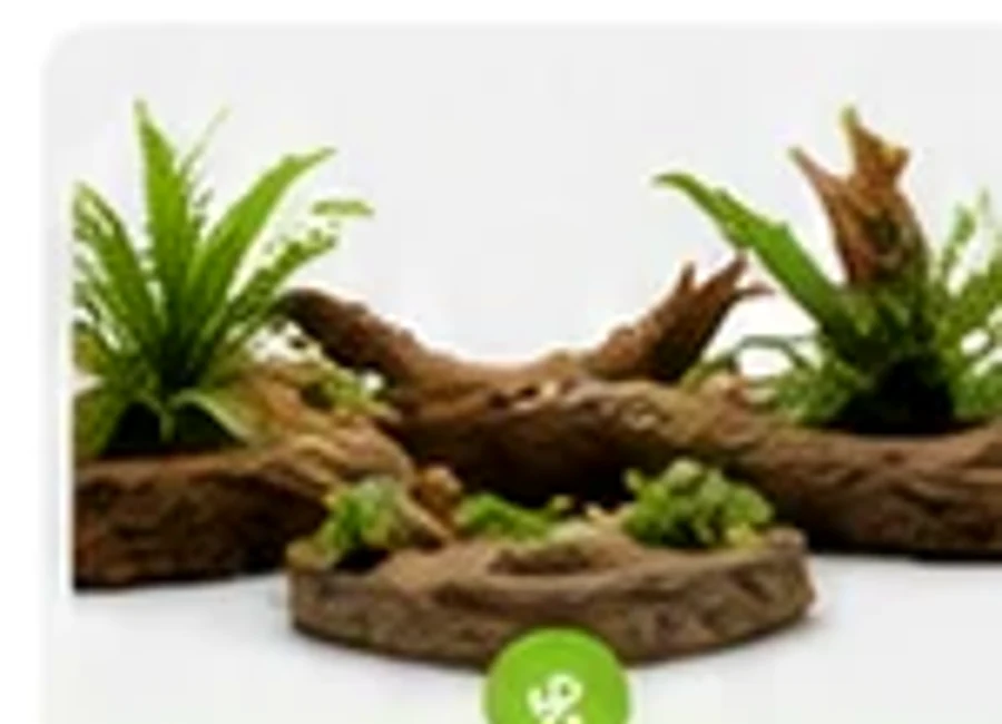 Bioactive enclosure