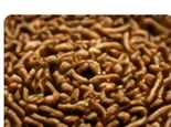 Superworms